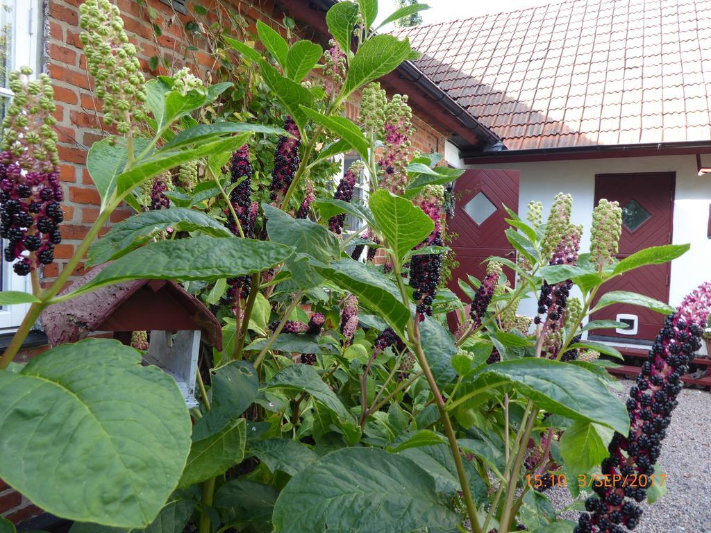 Akarpsvaegen Vacation Home Trelleborg Zewnętrze zdjęcie